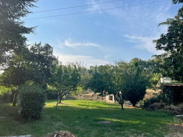 appartamento in affitto a Manciano