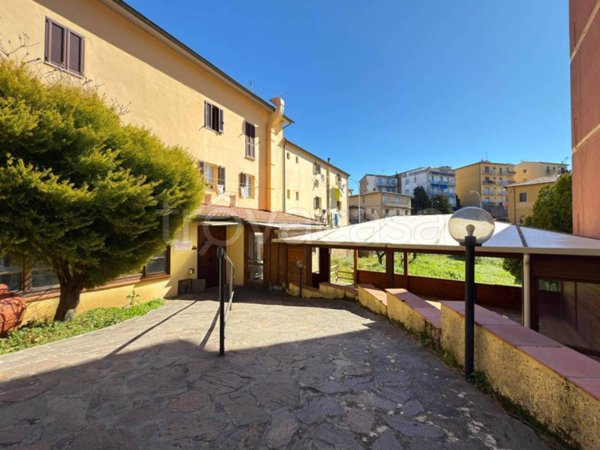 negozio in affitto a Massa Marittima