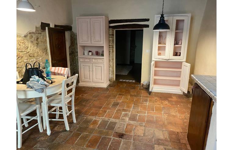 appartamento in affitto a Massa Marittima