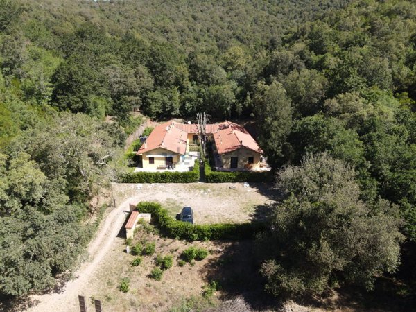 appartamento in affitto a Massa Marittima