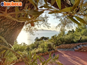 appartamento in affitto a Monte Argentario in zona Porto Santo Stefano