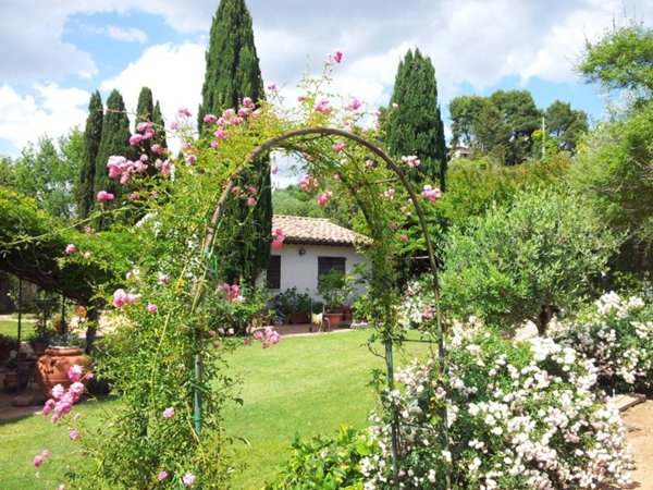 casa indipendente in affitto a Monte Argentario