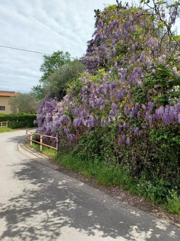 casa indipendente in affitto a Monte Argentario in zona Porto Ercole