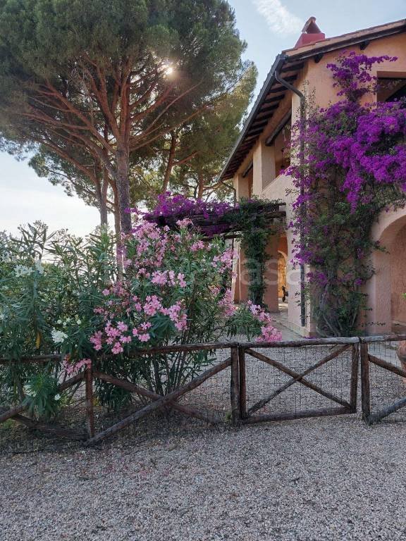 casa indipendente in affitto a Monte Argentario in zona Porto Santo Stefano