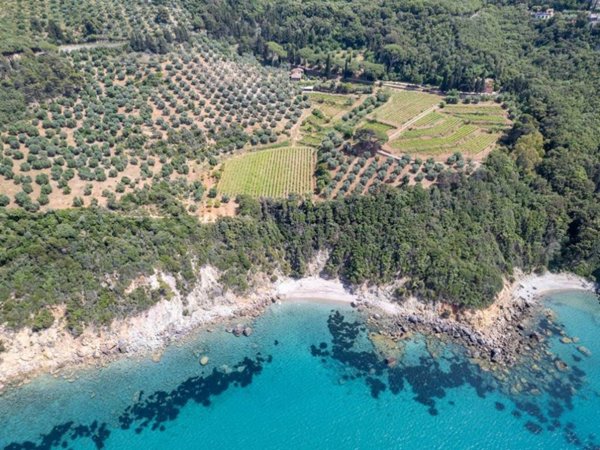 casa indipendente in affitto a Monte Argentario in zona Porto Santo Stefano
