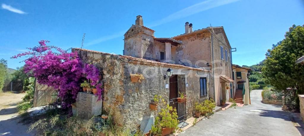 appartamento in affitto a Monte Argentario in zona Porto Ercole
