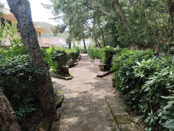 appartamento in affitto a Monte Argentario in zona Porto Ercole