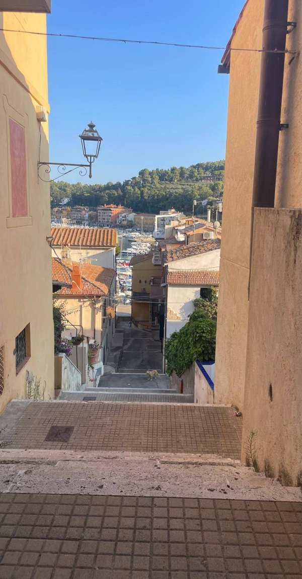 appartamento in affitto a Monte Argentario in zona Porto Ercole