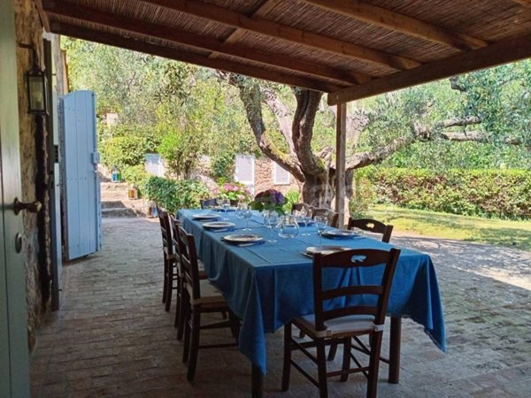 casa indipendente in affitto a Monte Argentario in zona Porto Ercole