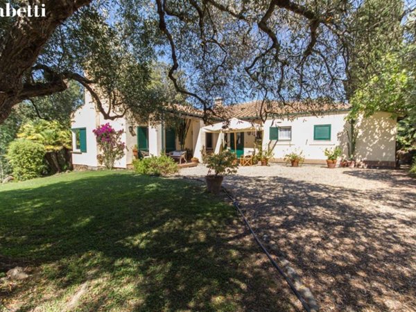 casa indipendente in affitto a Monte Argentario in zona Porto Santo Stefano