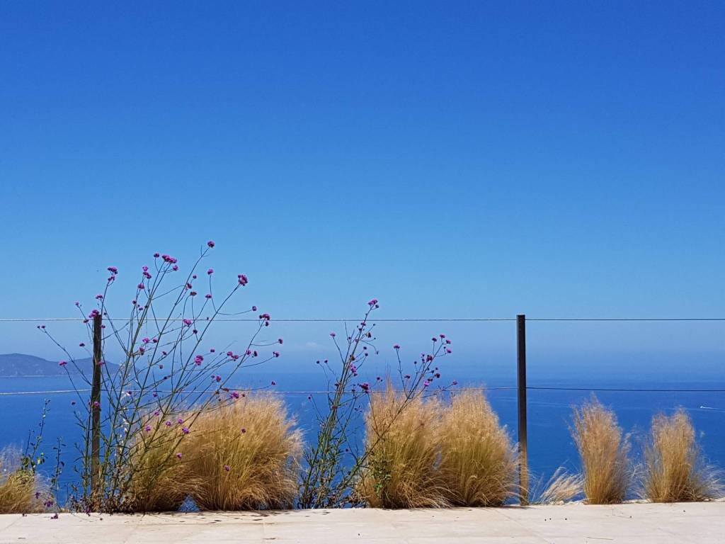casa indipendente in affitto a Monte Argentario in zona Porto Santo Stefano
