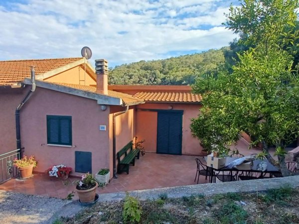 casa indipendente in affitto a Monte Argentario in zona Porto Ercole