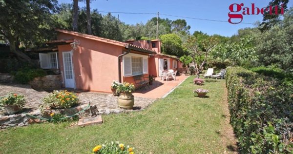 casa indipendente in affitto a Monte Argentario in zona Porto Santo Stefano