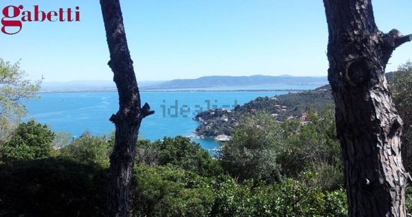 pentavano in affitto a Monte Argentario in zona Porto Santo Stefano