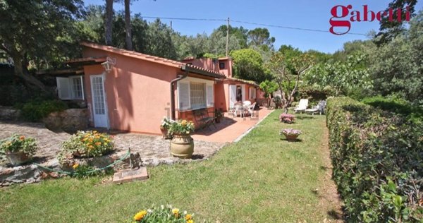 pentavano in affitto a Monte Argentario in zona Porto Santo Stefano