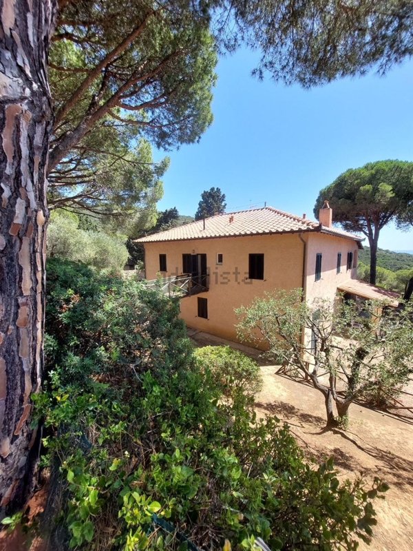casa indipendente in affitto a Monte Argentario in zona Porto Santo Stefano