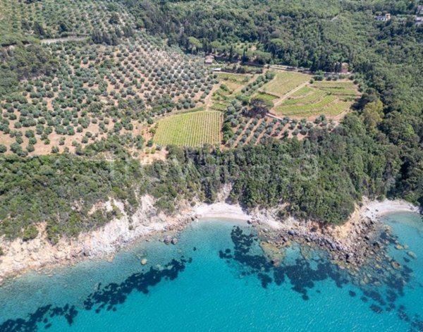 casa indipendente in affitto a Monte Argentario in zona Porto Santo Stefano