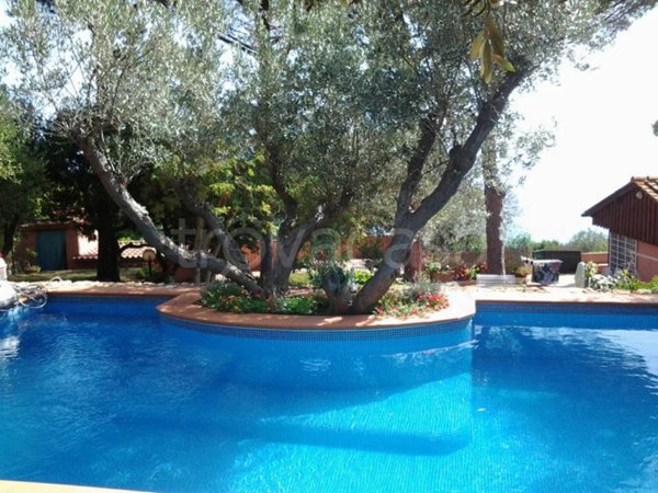 casa indipendente in affitto a Monte Argentario in zona Porto Santo Stefano