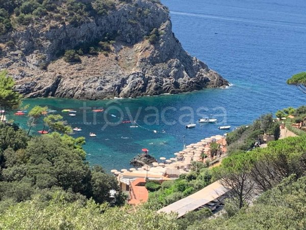 appartamento in affitto a Monte Argentario in zona Porto Santo Stefano