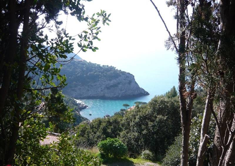 casa indipendente in affitto a Monte Argentario in zona Porto Santo Stefano