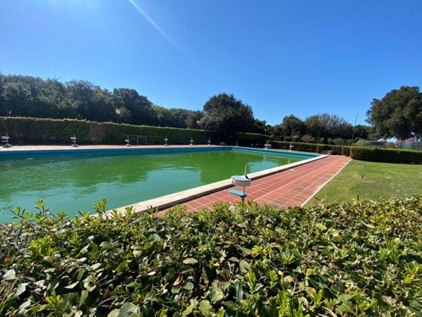 appartamento in affitto a Monte Argentario in zona Porto Ercole