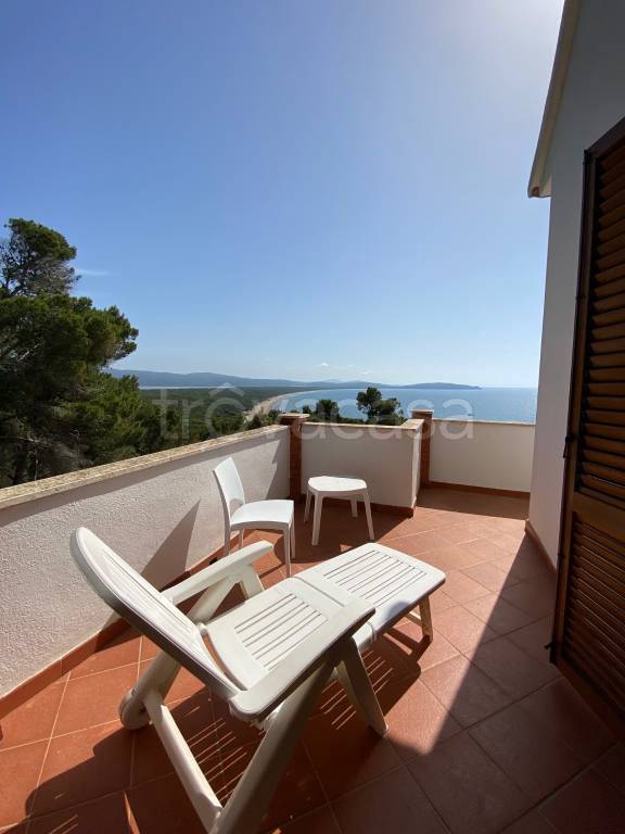appartamento in affitto a Monte Argentario in zona Porto Ercole