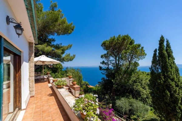 casa indipendente in affitto a Monte Argentario in zona Porto Santo Stefano