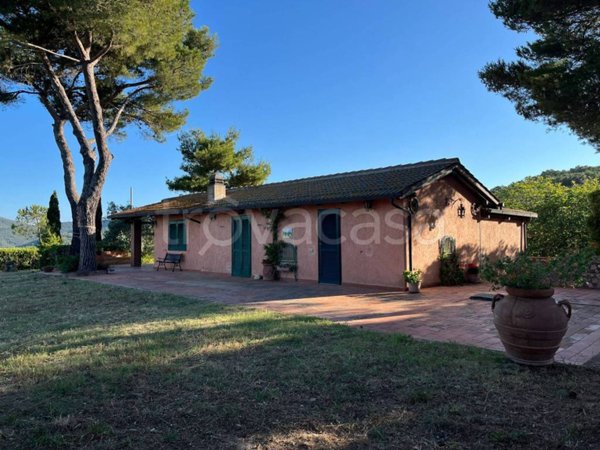 casa indipendente in affitto a Monte Argentario in zona Porto Santo Stefano
