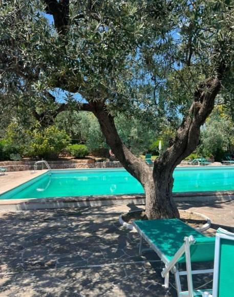 appartamento in affitto a Monte Argentario in zona Porto Santo Stefano