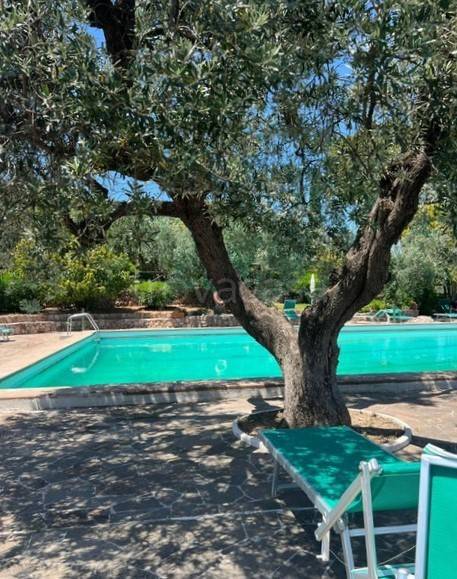 appartamento in affitto a Monte Argentario in zona Porto Santo Stefano