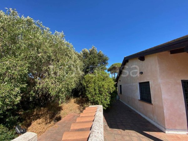 casa indipendente in affitto a Monte Argentario in zona Porto Ercole