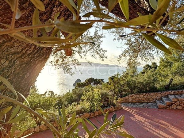 appartamento in affitto a Monte Argentario in zona Cala Moresca