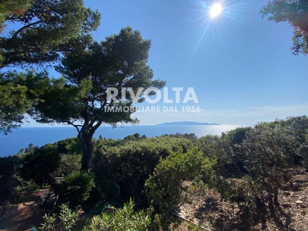 casa indipendente in affitto a Monte Argentario in zona Cala Piccola