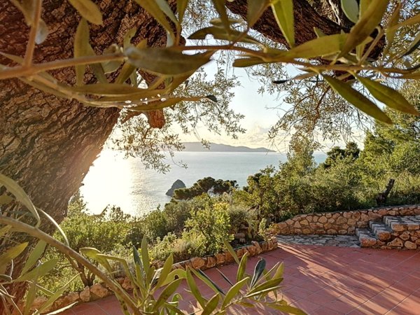 casa indipendente in affitto a Monte Argentario in zona Cala Moresca