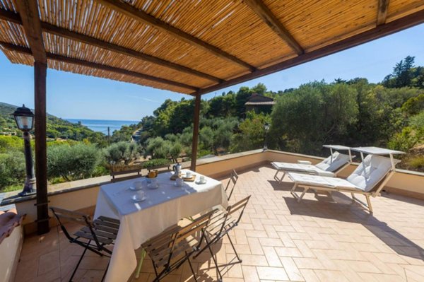 casa indipendente in affitto a Monte Argentario