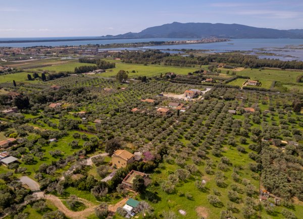 casa indipendente in affitto ad Orbetello in zona Ansedonia