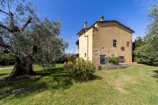 casa indipendente in affitto ad Orbetello in zona Ansedonia