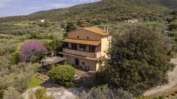 casa indipendente in affitto ad Orbetello in zona Ansedonia