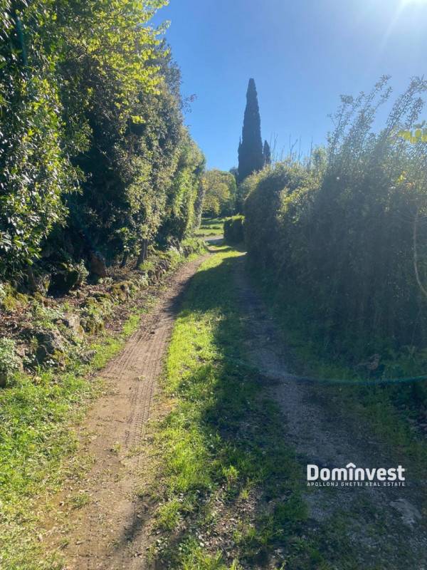 casa indipendente in affitto ad Orbetello in zona Ansedonia