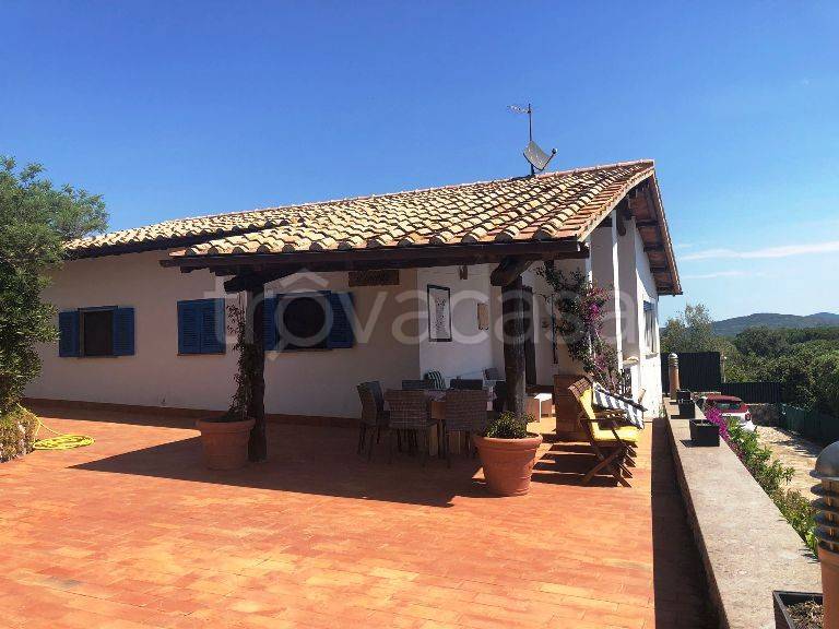 casa indipendente in affitto ad Orbetello in zona Ansedonia