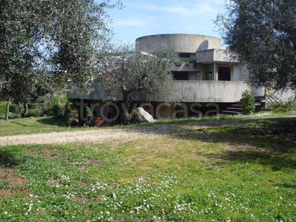 casa indipendente in affitto ad Orbetello in zona Ansedonia