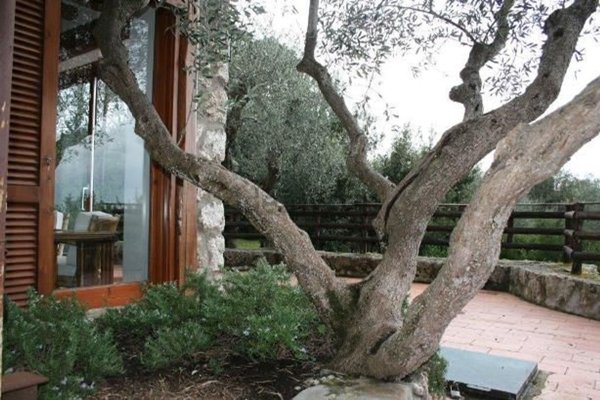 casa indipendente in affitto ad Orbetello