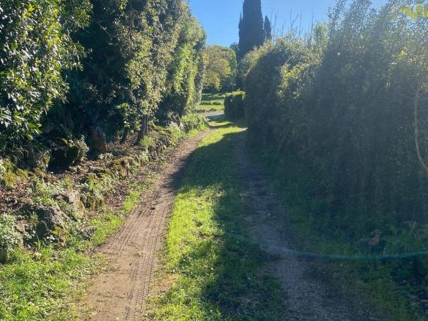casa indipendente in affitto ad Orbetello in zona Ansedonia