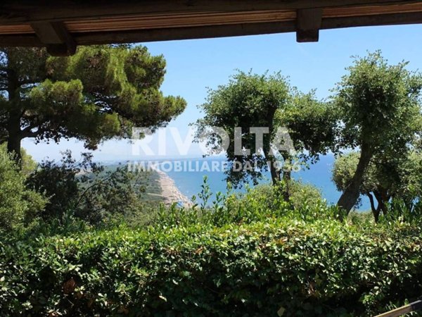 casa indipendente in affitto ad Orbetello in zona Ansedonia