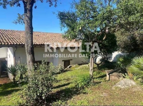 villa in affitto ad Orbetello in zona Ansedonia