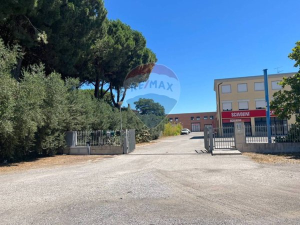 negozio in affitto ad Orbetello in zona Albinia