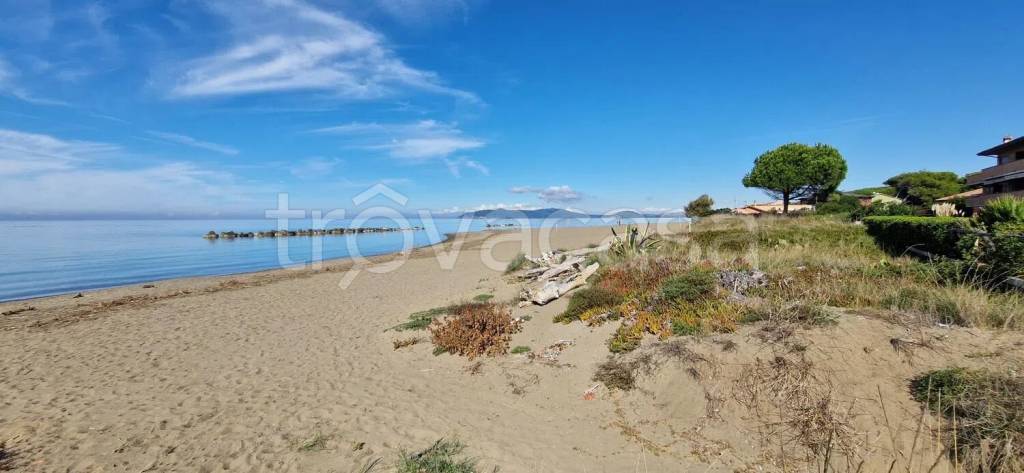 appartamento in affitto ad Orbetello in zona Giannella