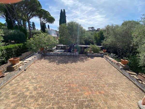 appartamento in affitto ad Orbetello in zona Ansedonia