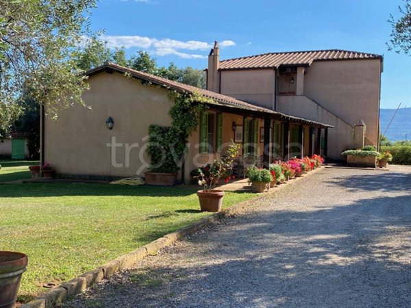 casa indipendente in affitto ad Orbetello in zona Ansedonia