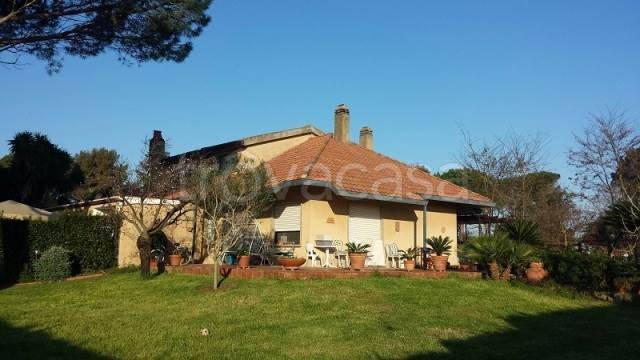 casa indipendente in affitto ad Orbetello in zona Giannella